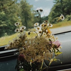 Meet your Posher, Maggie